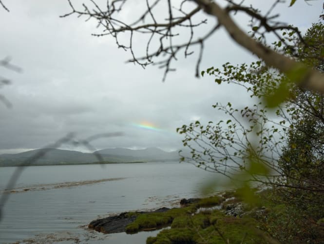 Kenmare, Ireland, 2013 from the series Does Yellow Run Forever?